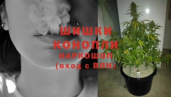 jwh Алзамай