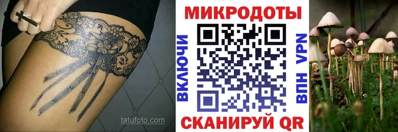 Галлюциногенные грибы Psilocybine cubensis наркотики Томари